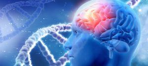 Blue digital illustration of a human head in profile with a glowing red brain and DNA double helix